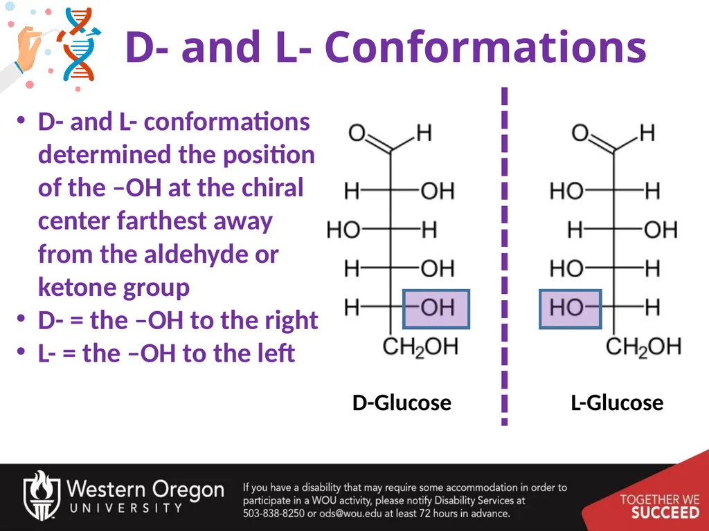 Carbohydrates – Part 1 Monosaccharide Structure - slide 29 of 40
