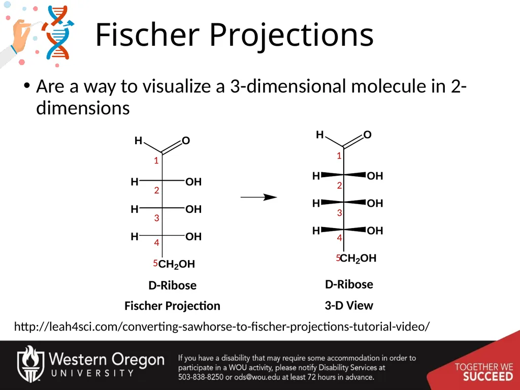 Carbohydrates – Part 1 Monosaccharide Structure - slide 6 of 40