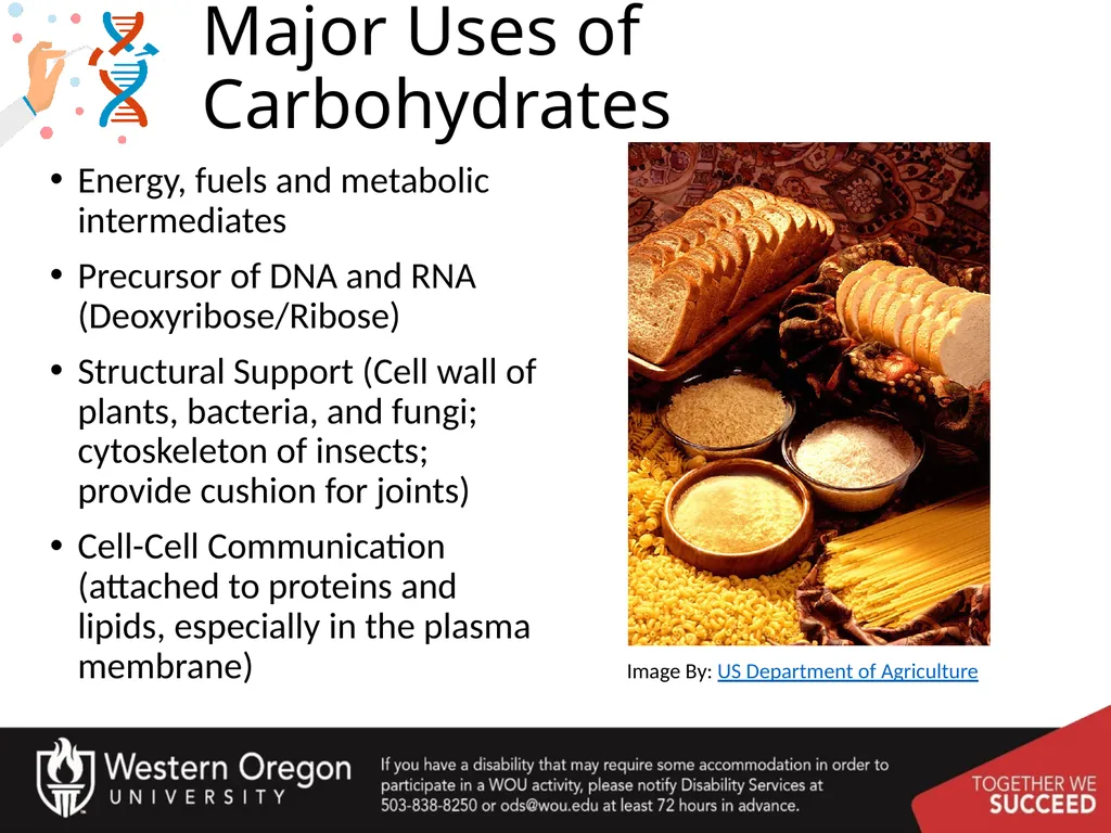 Carbohydrates – Part 1 Monosaccharide Structure - slide 2 of 40
