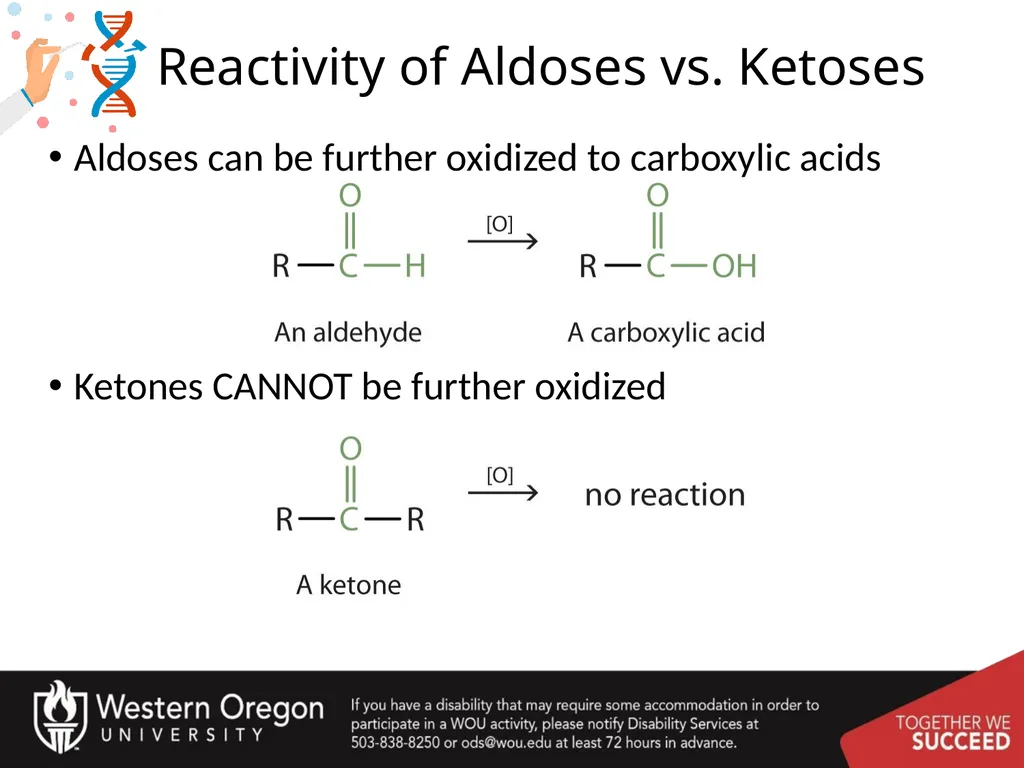 Carbohydrates – Part 1 Monosaccharide Structure - slide 9 of 40