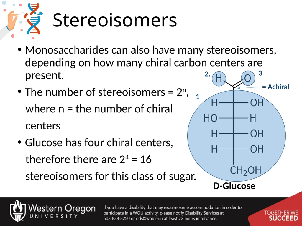 Carbohydrates – Part 1 Monosaccharide Structure - slide 13 of 40