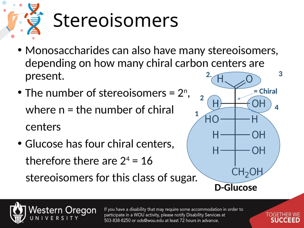 Carbohydrates – Part 1 Monosaccharide Structure - slide 14 of 40