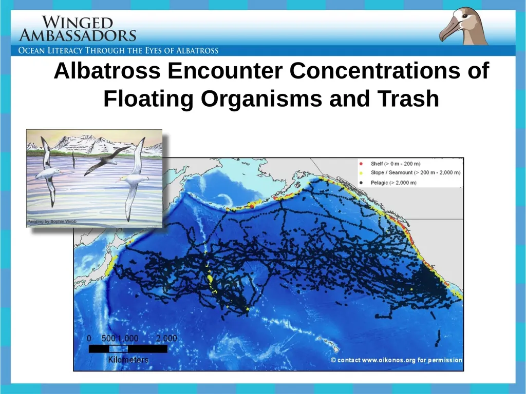 Lesson 4: Bolus Analysis Lesson 4 Presentation - slide 41 of 48