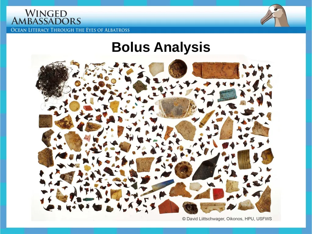 Lesson 4: Bolus Analysis Lesson 4 Presentation - slide 20 of 48