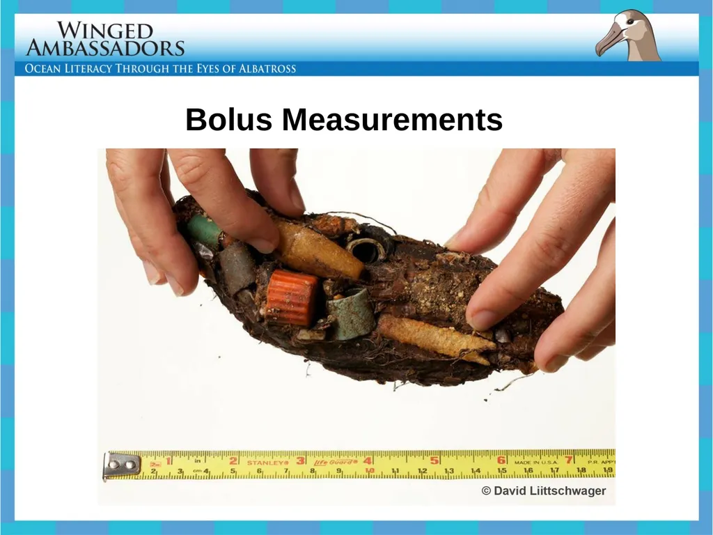 Lesson 4: Bolus Analysis Lesson 4 Presentation - slide 18 of 48