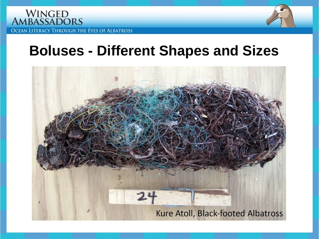 Lesson 4: Bolus Analysis Lesson 4 Presentation - slide 16 of 48