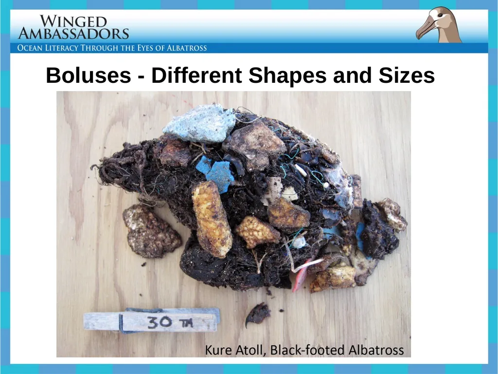 Lesson 4: Bolus Analysis Lesson 4 Presentation - slide 17 of 48