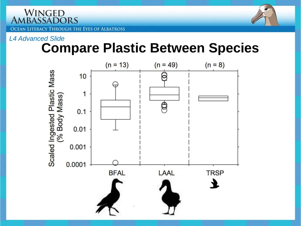 Lesson 4: Bolus Analysis Lesson 4 Presentation - slide 44 of 48