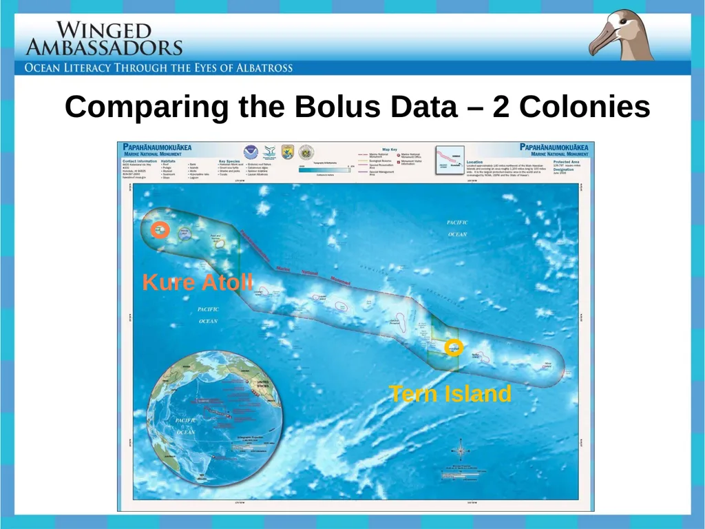 Lesson 4: Bolus Analysis Lesson 4 Presentation - slide 27 of 48