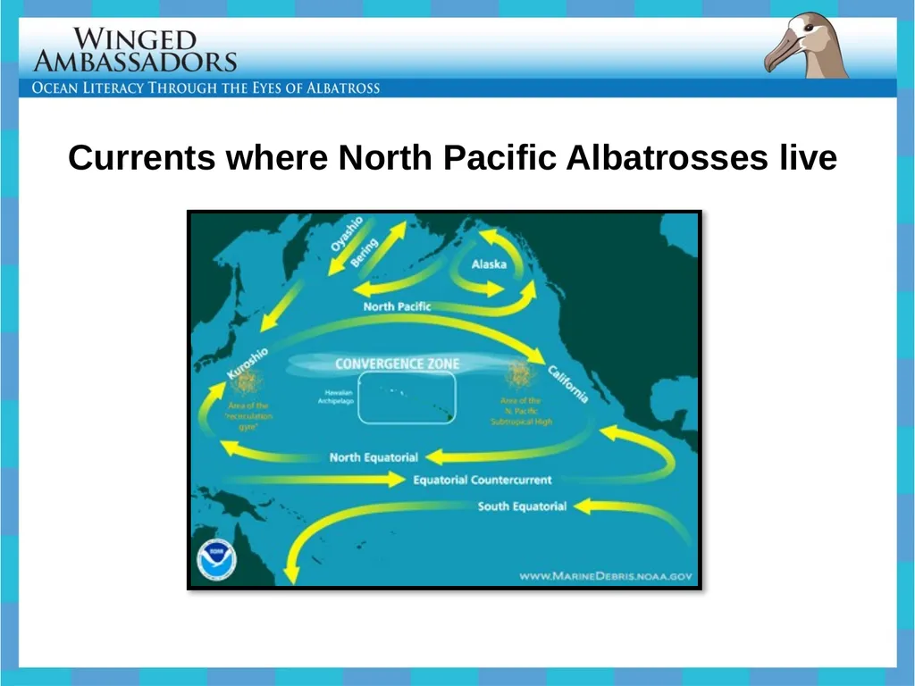 Lesson 4: Bolus Analysis Lesson 4 Presentation - slide 39 of 48