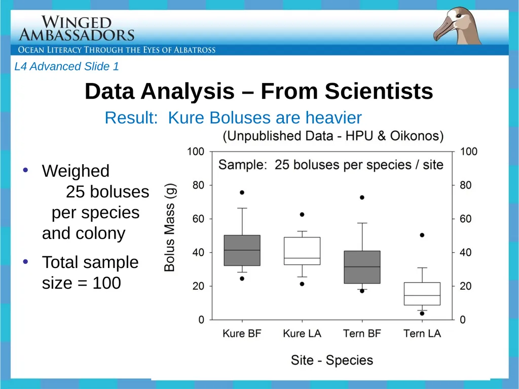 Lesson 4: Bolus Analysis Lesson 4 Presentation - slide 31 of 48