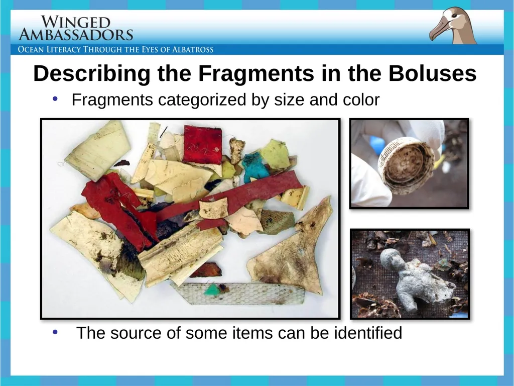 Lesson 4: Bolus Analysis Lesson 4 Presentation - slide 22 of 48