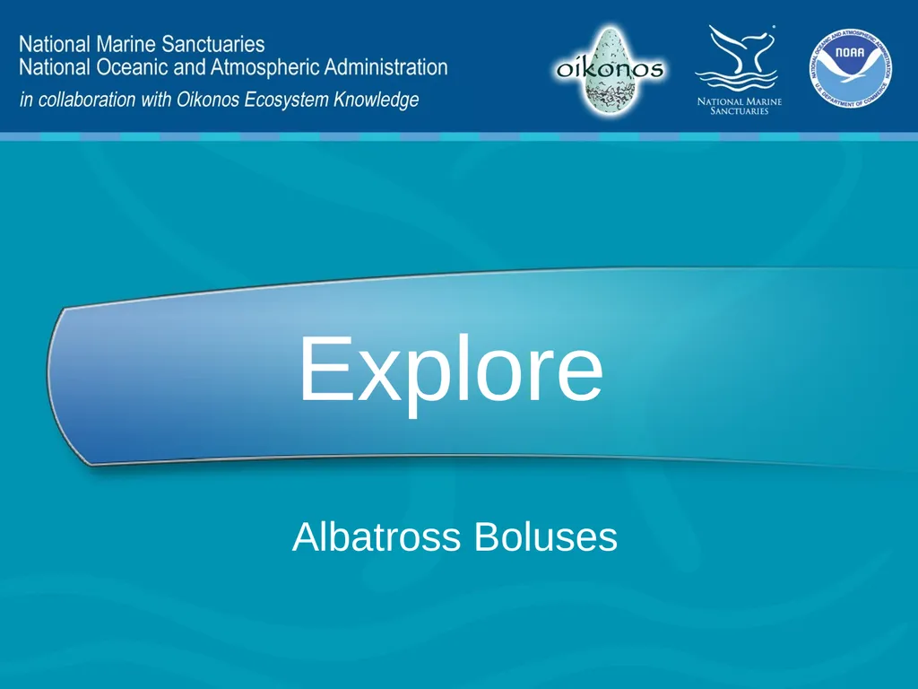 Lesson 4: Bolus Analysis Lesson 4 Presentation - slide 14 of 48