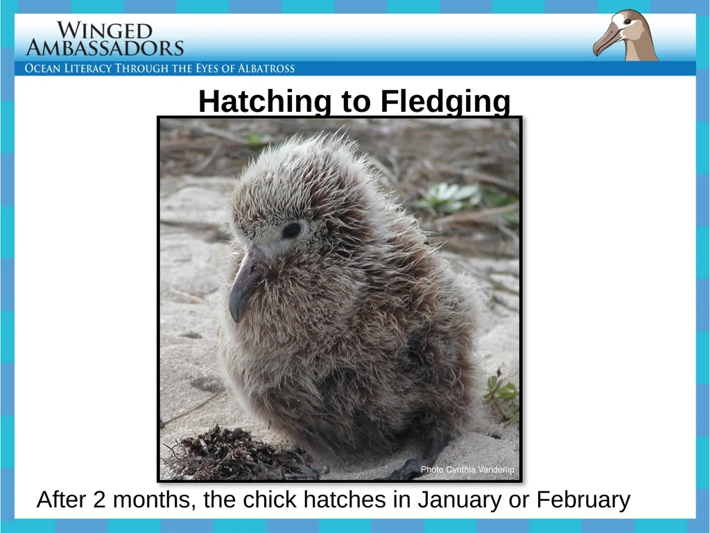 Lesson 4: Bolus Analysis Lesson 4 Presentation - slide 7 of 48