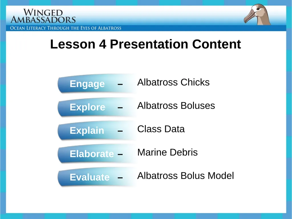 Lesson 4: Bolus Analysis Lesson 4 Presentation - slide 2 of 48