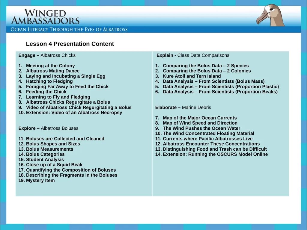 Lesson 4: Bolus Analysis Lesson 4 Presentation - slide 48 of 48