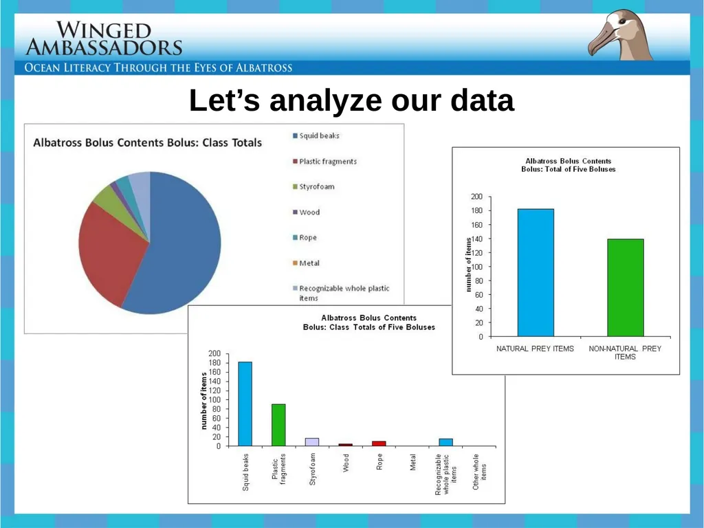 Lesson 4: Bolus Analysis Lesson 4 Presentation - slide 30 of 48