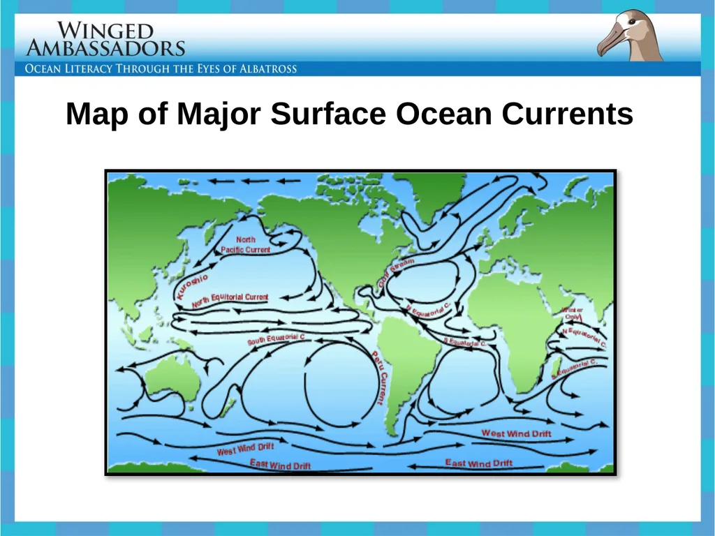 Lesson 4: Bolus Analysis Lesson 4 Presentation - slide 35 of 48