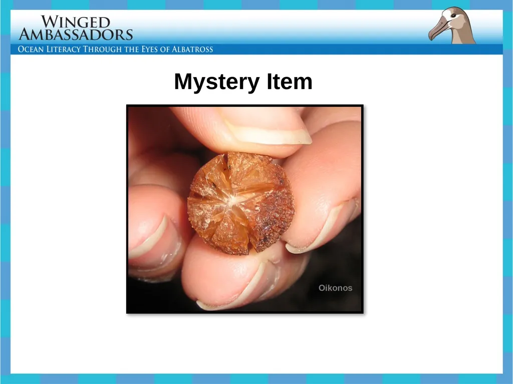 Lesson 4: Bolus Analysis Lesson 4 Presentation - slide 24 of 48
