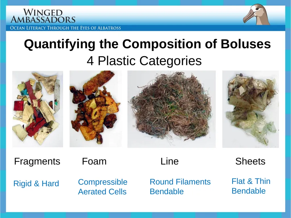 Lesson 4: Bolus Analysis Lesson 4 Presentation - slide 21 of 48