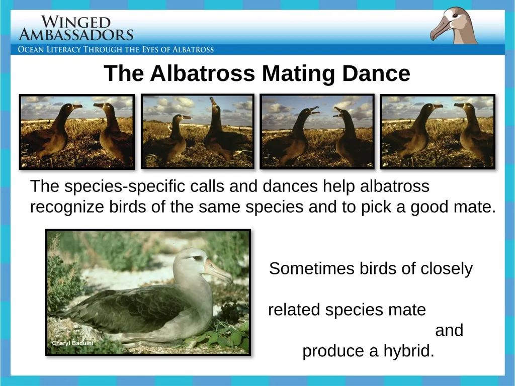 Lesson 4: Bolus Analysis Lesson 4 Presentation - slide 5 of 48