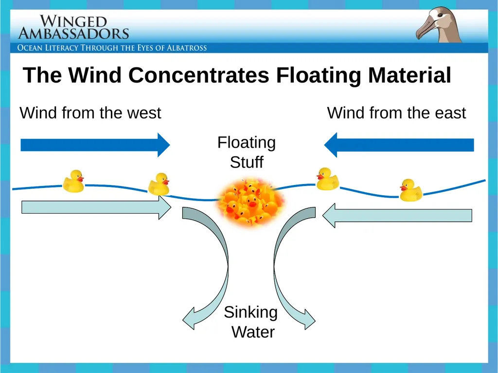 Lesson 4: Bolus Analysis Lesson 4 Presentation - slide 38 of 48