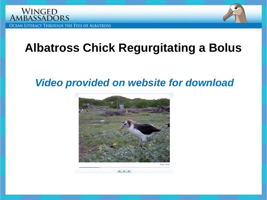 Lesson 4: Bolus Analysis Lesson 4 Presentation - slide 12 of 48