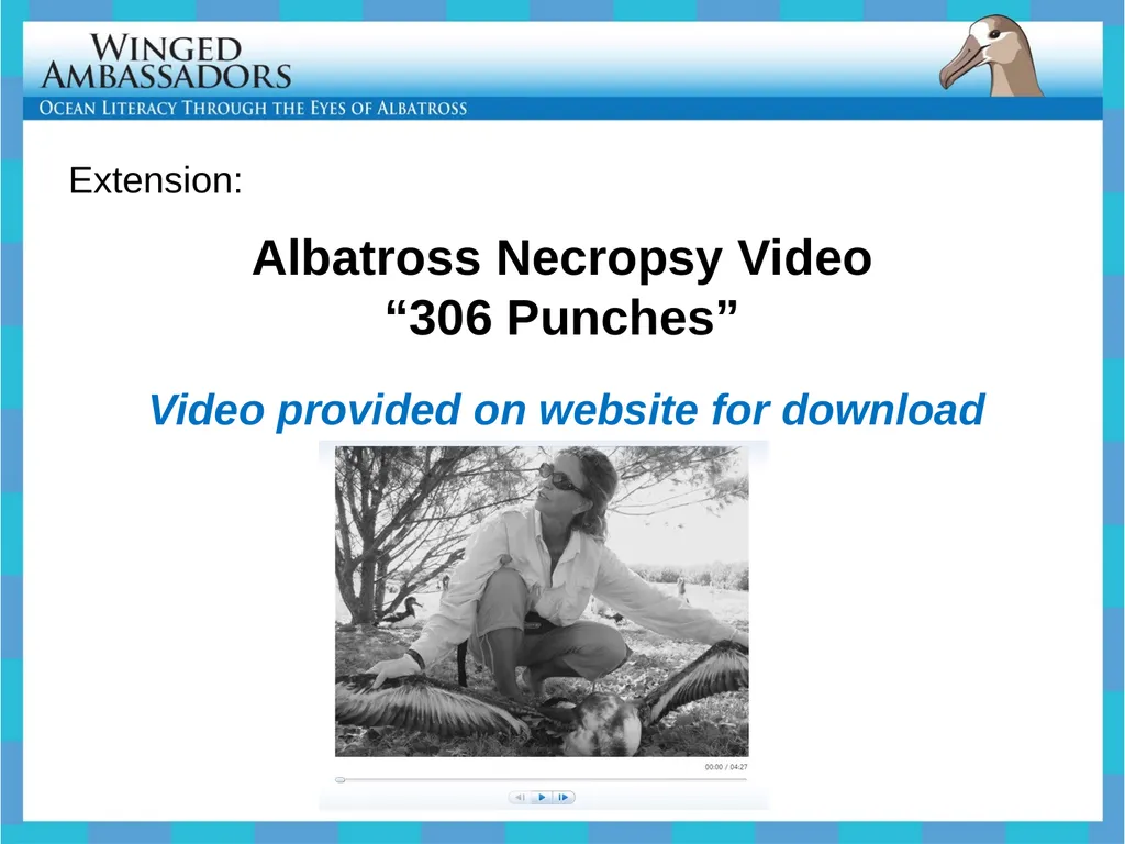Lesson 4: Bolus Analysis Lesson 4 Presentation - slide 13 of 48
