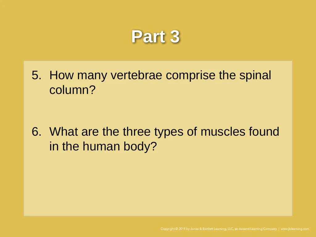 Case Study Chapter 7 The Human Body Your ambulance - slide 7 of 10