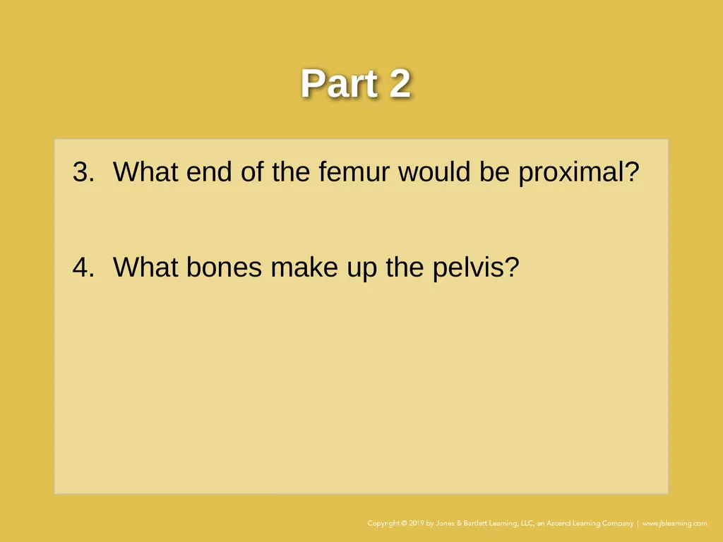 Case Study Chapter 7 The Human Body Your ambulance - slide 5 of 10