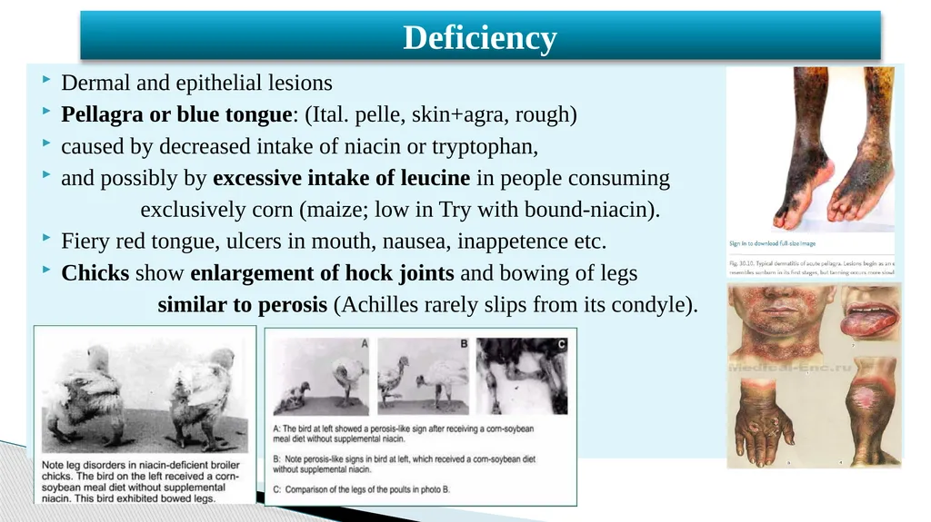 Vitamins (Water Soluble) Dr. Dharmendra Kumar - slide 24 of 34