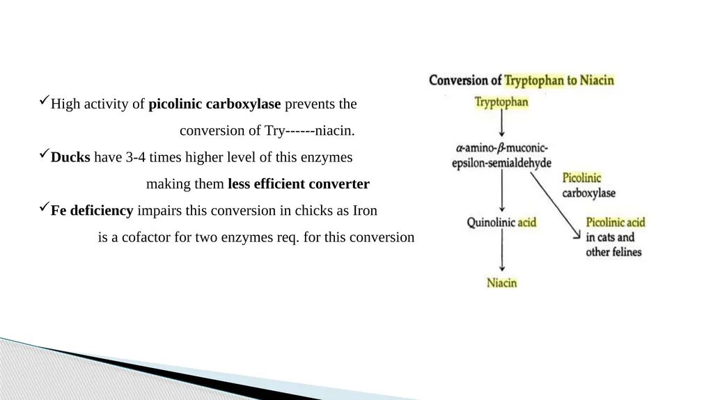 Vitamins (Water Soluble) Dr. Dharmendra Kumar - slide 26 of 34