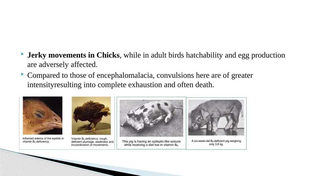 Vitamins (Water Soluble) Dr. Dharmendra Kumar - slide 29 of 34