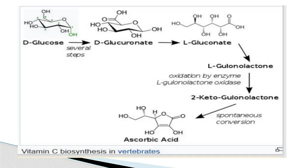 Vitamins (Water Soluble) Dr. Dharmendra Kumar - slide 4 of 34