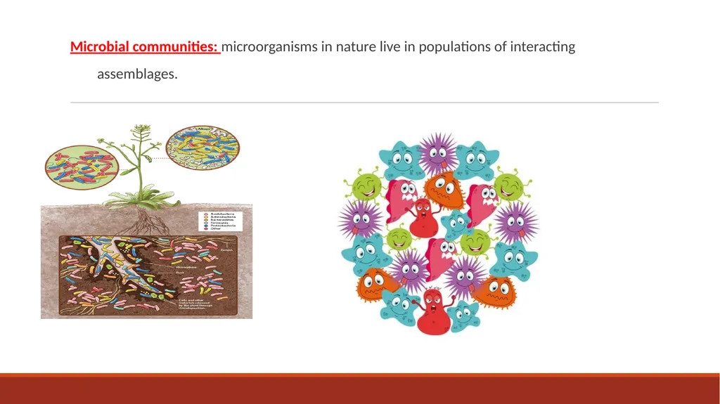 140MIC: Microbiology Lecture- 3 Principles of - slide 4 of 29