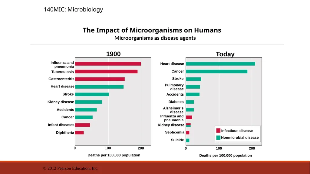 140MIC: Microbiology Lecture- 3 Principles of - slide 13 of 29