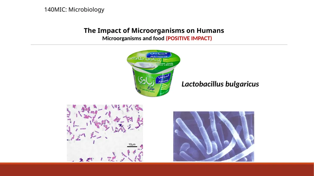 140MIC: Microbiology Lecture- 3 Principles of - slide 24 of 29