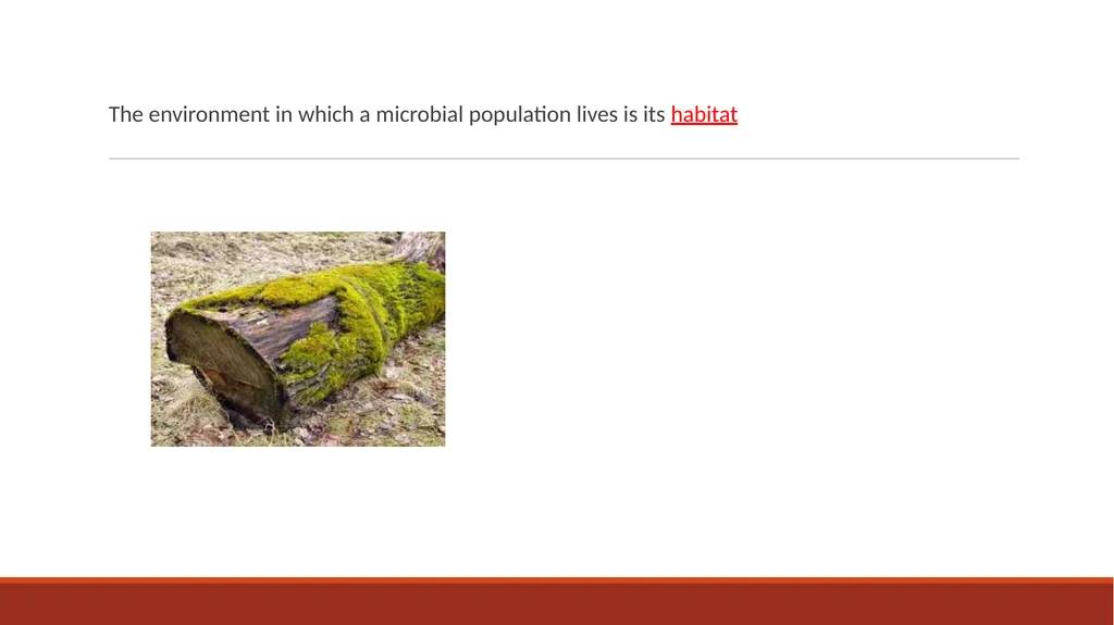 140MIC: Microbiology Lecture- 3 Principles of - slide 6 of 29