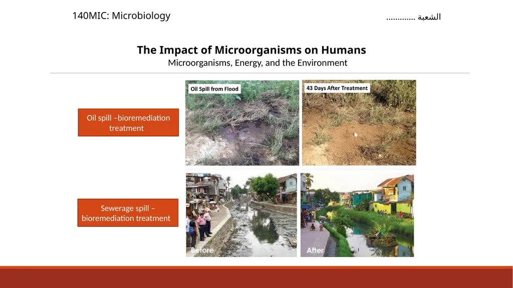 140MIC: Microbiology Lecture- 3 Principles of - slide 27 of 29