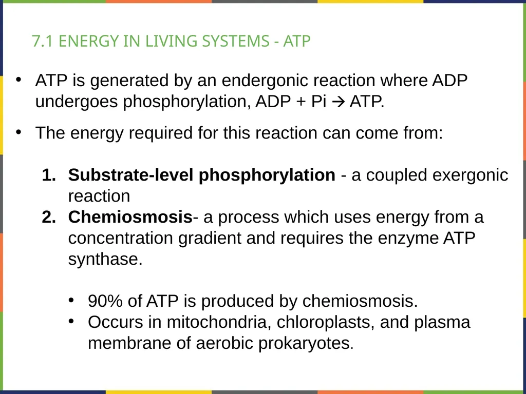 BIOLOGY 2E Chapter 7 CELLULAR RESPIRATION - slide 8 of 43
