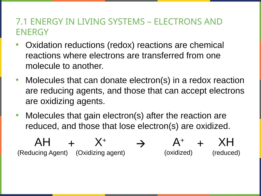 BIOLOGY 2E Chapter 7 CELLULAR RESPIRATION - slide 3 of 43