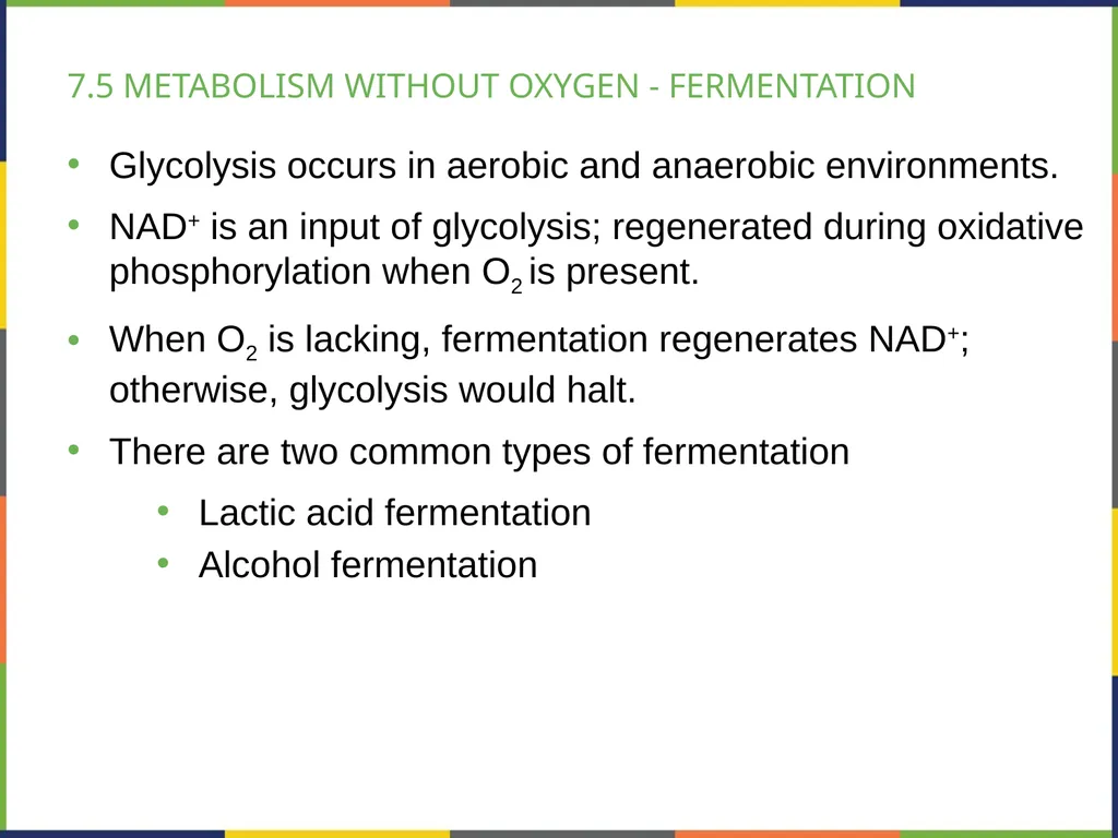 BIOLOGY 2E Chapter 7 CELLULAR RESPIRATION - slide 34 of 43