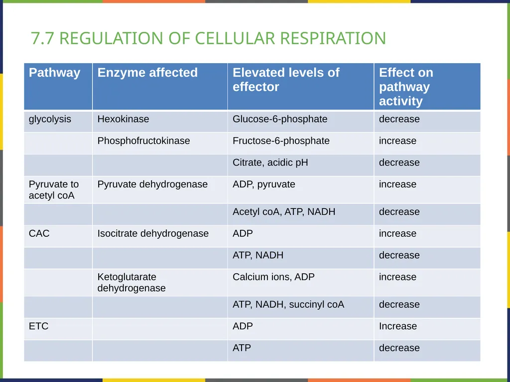 BIOLOGY 2E Chapter 7 CELLULAR RESPIRATION - slide 43 of 43