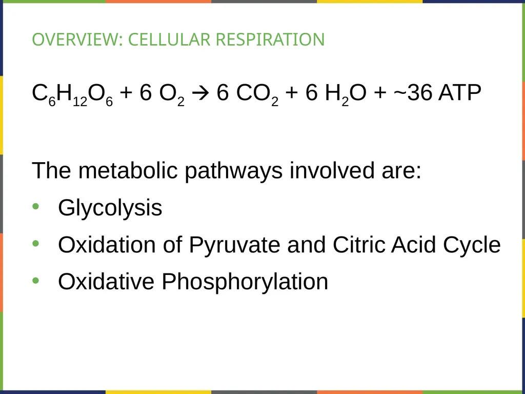 BIOLOGY 2E Chapter 7 CELLULAR RESPIRATION - slide 10 of 43
