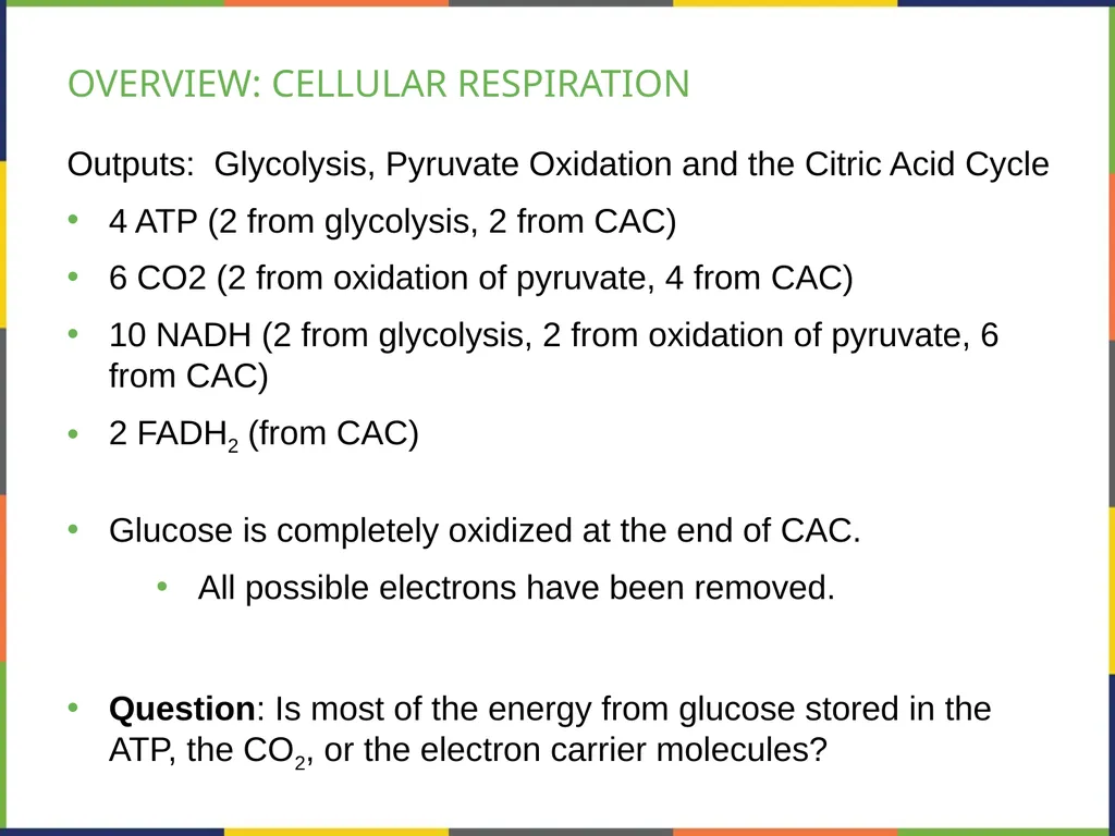 BIOLOGY 2E Chapter 7 CELLULAR RESPIRATION - slide 24 of 43