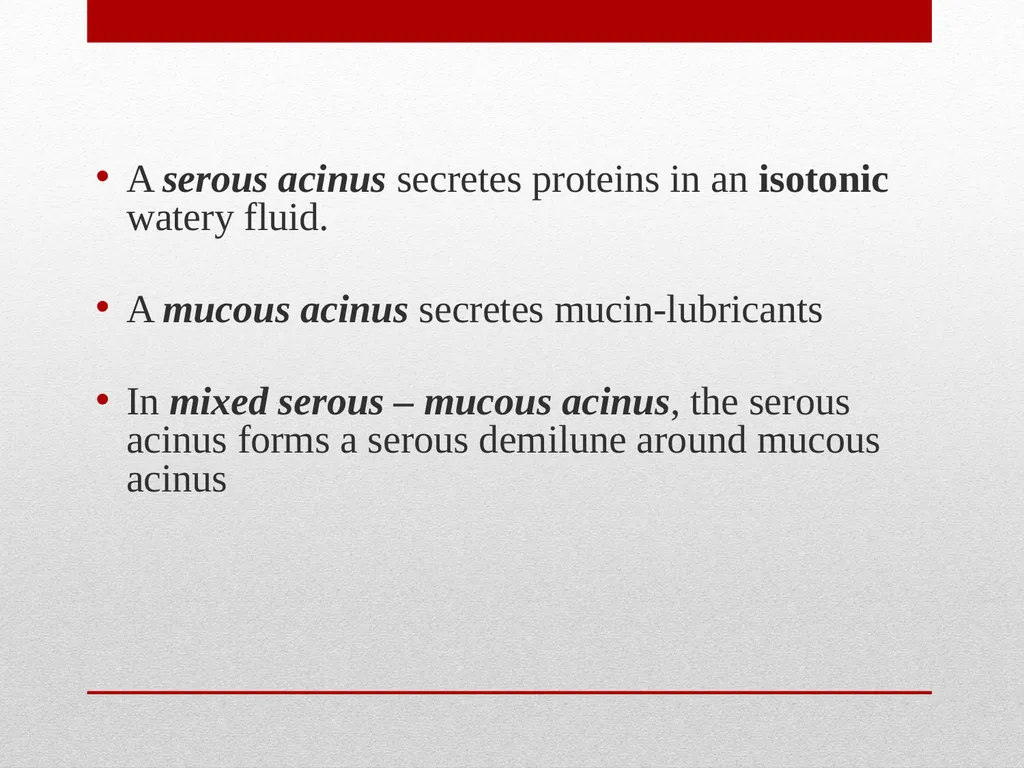 Saliva It is a watery secretion in the mouth - slide 6 of 29