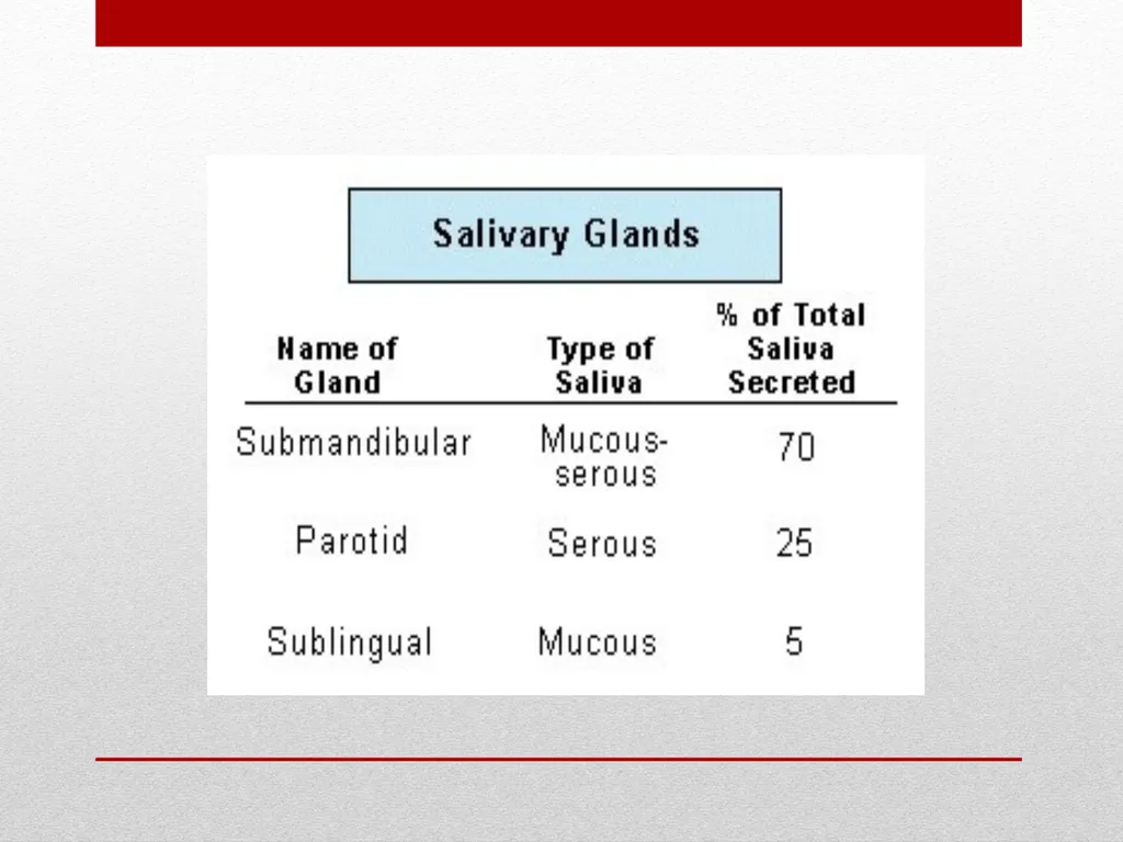 Saliva It is a watery secretion in the mouth - slide 24 of 29
