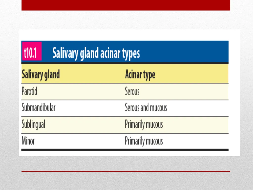 Saliva It is a watery secretion in the mouth - slide 26 of 29