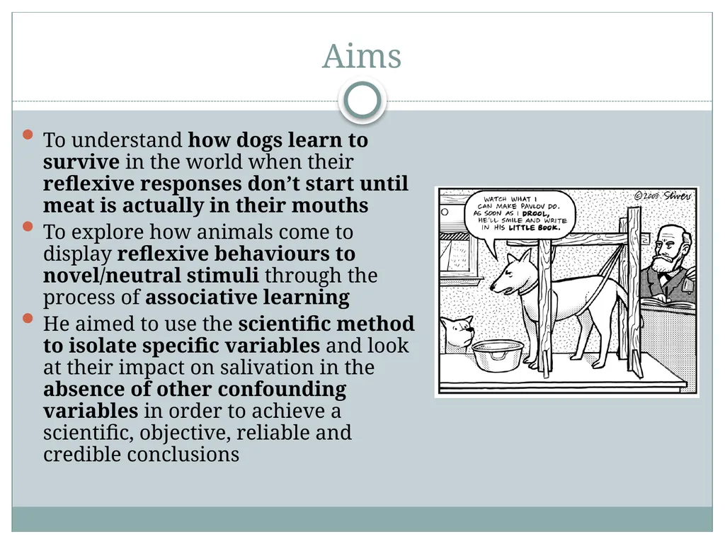 Classical Conditioning and his famous Experiment - slide 4 of 11