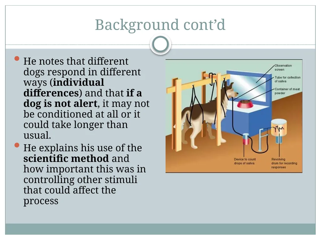 Classical Conditioning and his famous Experiment - slide 3 of 11